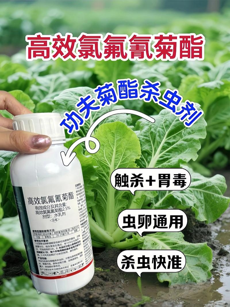 洛阳代生中心:农药对供卵代生妈妈的危害